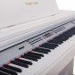 영창 디지털피아노 KWP-20 (화이트)전자피아노