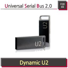 Dynamic U2 메모리 [ 32GB ]