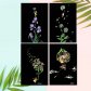 컬러 스크래치 카드 컬러링북 DIY(A5)-꽃(4종)