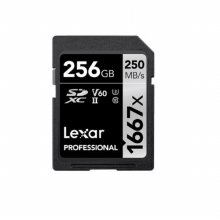 렉사 SDXC U3 Professional 1667X V60 MLC 256GB