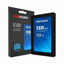 하이크비젼 E100 SSD (256GB)