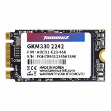 타무즈 GKM330 M.2 2242 SSD (64GB)