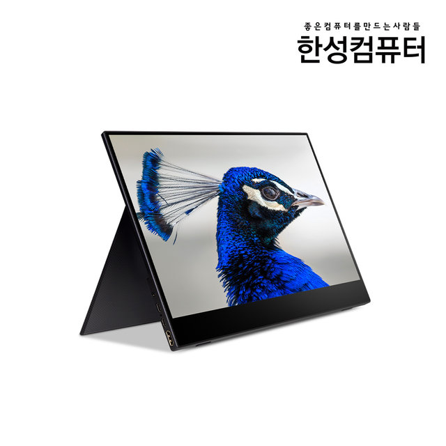 TFX133T DEX 포터블 HDR 모니터 멀티터치