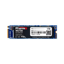 Fastro MS100 SSD 1TB