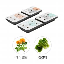 틔운 미니용 씨앗키트 패키지 LPM03.AKOR (메리골드+청경채)