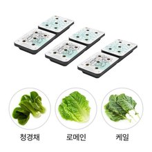 틔운용 씨앗키트 패키지 LPL06 (청경채+케일+로메인)