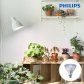 필립스 PAR38 LED 식물조명 식물등 생장등 테라리움 다육이 