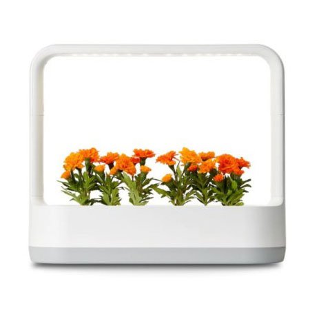 [박스개봉 - 변심반품] LG 틔운 미니 식물재배기 L011W1 (화이트)