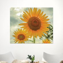 풍수 꽃그림 이사선물 해바라기 그림(50x60cm)