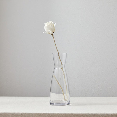 싱글 로즈버드 스프레이 56cm_화이트
