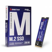 바이오스타 M760 M.2 NVMe SSD (256GB) 이엠텍