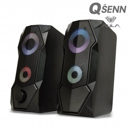 QSENN AULA N-301 2채널 스피커