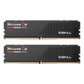 [서린공식] G.SKILL DDR5-5600 CL40 RIPJAWS S5 J 블랙 패키지 48GB(24Gx2)