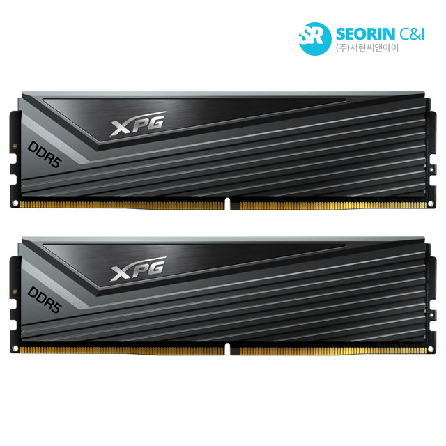 [서린공식] ADATA DDR5-6000 CL30 CASTER 패키지 서린 (32GB(16Gx2))