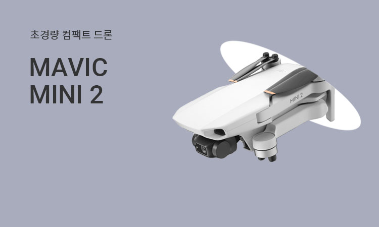 MAVIC MINI 2