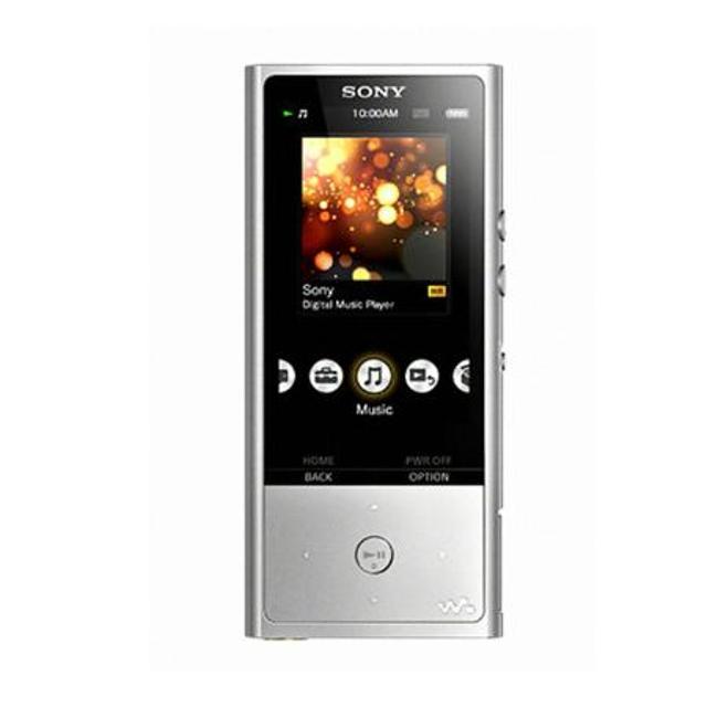 워크맨 패키지 NWZ-ZX100/SM/MDR-NW750 [워크맨 NWZ-ZX100/SM (색상:실버) + MP3전용 이어폰 MDR-NW750 (색상:블랙)]