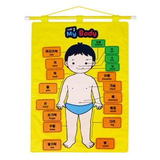 유아용 벽걸이 교구_나의 몸(MY BODY) 1set