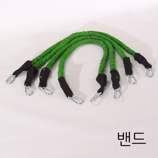 바디보스 밴드