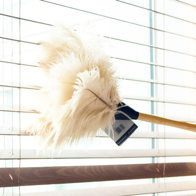 레데커 타조털 먼지떨이_화이트 50CM