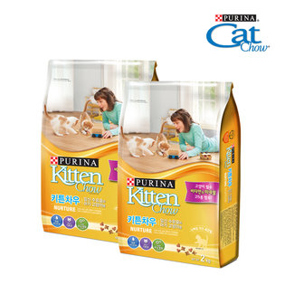 [퓨리나] 캣차우 키튼차우 2kg 2팩 / 리뉴얼출시