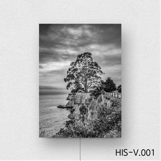 액자스피커/Premium Line HIS-V.001