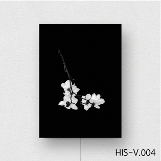 액자스피커/Premium Line HIS-V.004