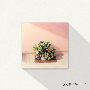 PINK WALL(crop)