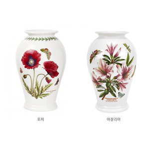 보타닉가든 화병10 (아잘리아)