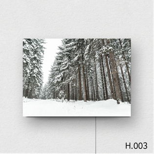 액자스피커/Casual Line H.003