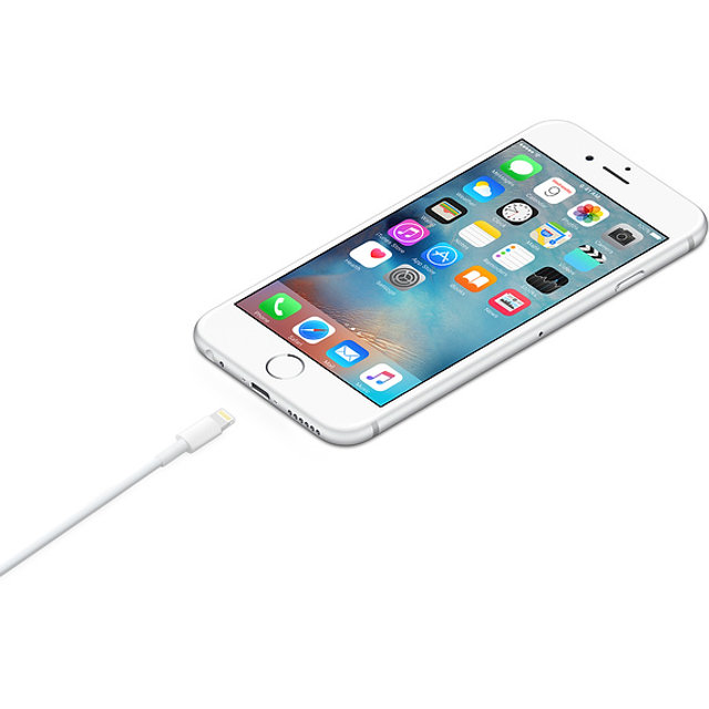 Apple 정품 라이트닝 to USB 케이블 (2M)