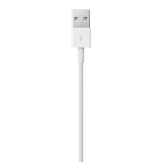 Apple 정품 라이트닝 to USB 케이블 (2M)