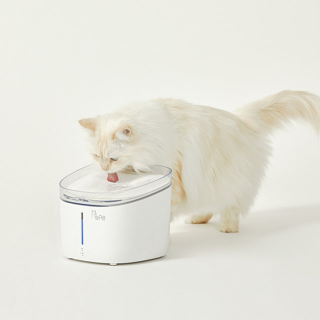 페페 강아지 고양이 UV살균정수기 세트 모음