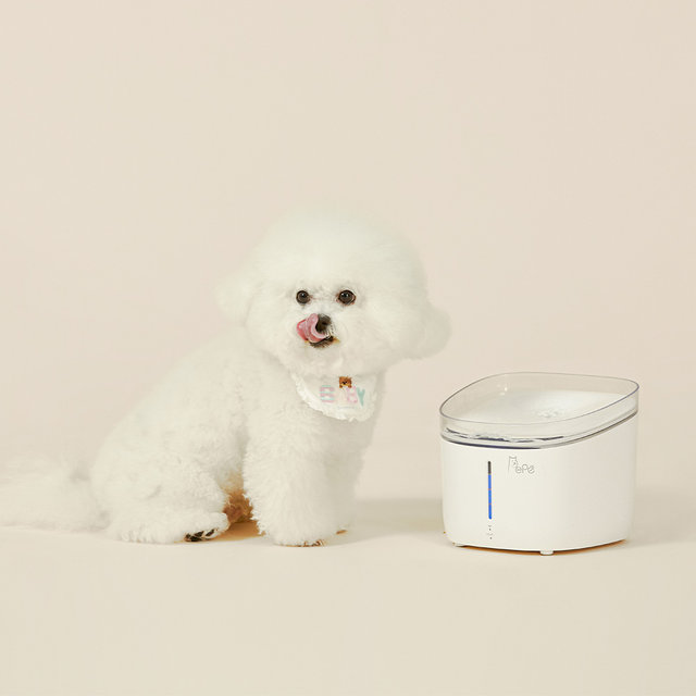   페페 강아지 고양이 UV살균정수기