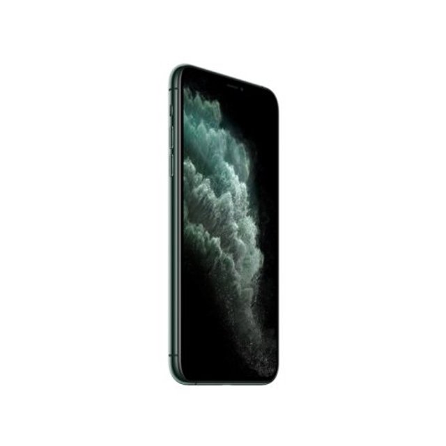 아이폰11 프로맥스, 자급제 (미드나이트그린, 256GB)