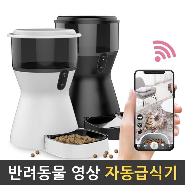 펫트리 petree 반려동물 영상 자동 급식기 화이트
