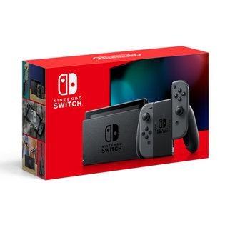 SWITCH 본체 [그레이]