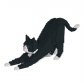 제카 - 턱시도 - 프리미엄 고양이 블럭