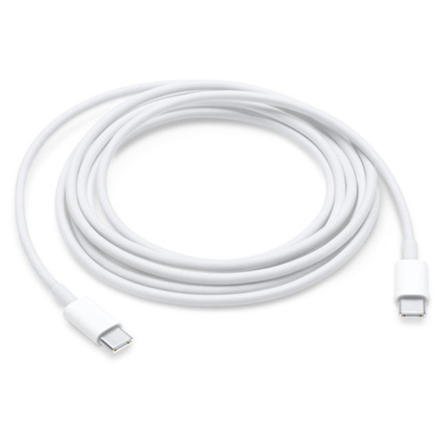 정품 USB-C 충전 케이블 (2M)