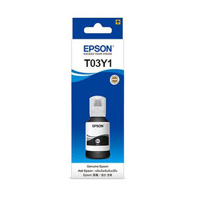 T03Y100