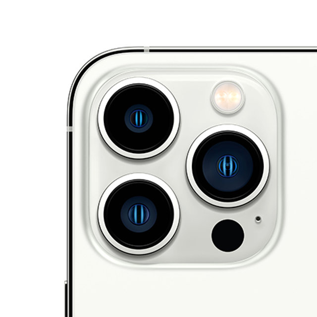 아이폰13 프로 자급제 (128GB, 실버)