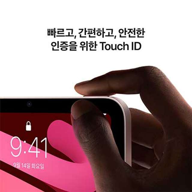 아이패드 미니 6세대 Wi-Fi 64GB 핑크