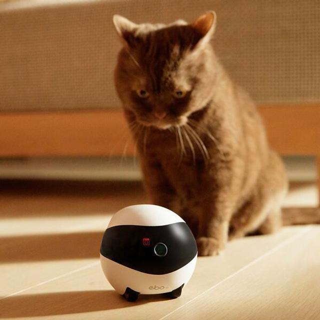 움직이는 AI 스마트홈 CCTV 카메라 이보 SE [Ebo SE][홈캠/펫캠]