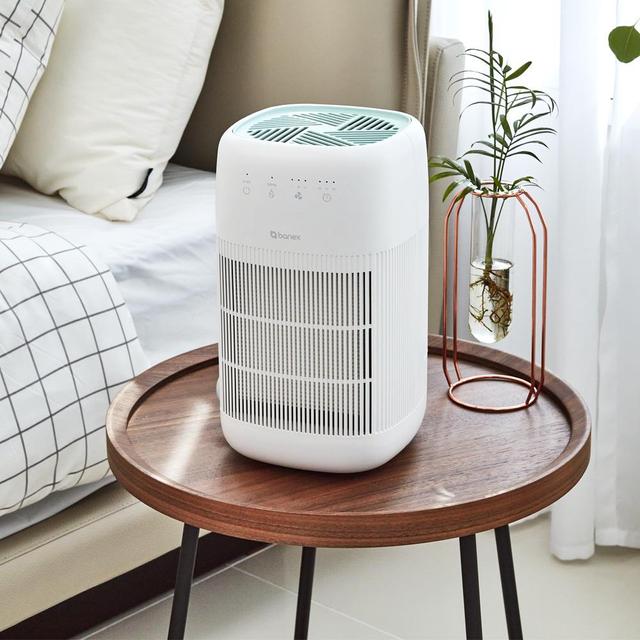 바넥스 2in1 공기청정 미니제습기 BN-D750 원룸 저소음