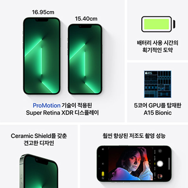 아이폰13 프로맥스 자급제 (128GB, 알파인그린)