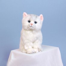 위더펫 리얼 고양이 인형 페르시안 친칠라 화이트