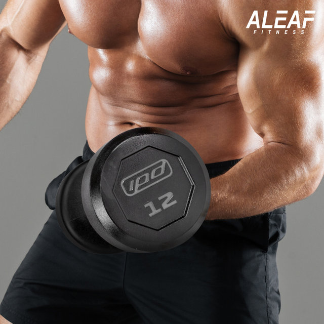 아리프 럭셔리 IPD 덤벨 5kg 아령 CPU신소재 헬스