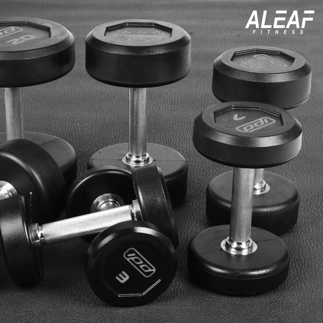 아리프 럭셔리 IPD 덤벨 5kg 아령 CPU신소재 헬스