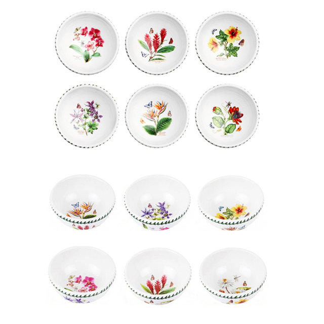 보타닉가든 엑소틱 공기2p+엑소틱 국공기2p