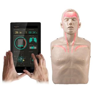 브레이든 프로 혈행표시 심폐소생술 CPR 마네킹 IM16-R