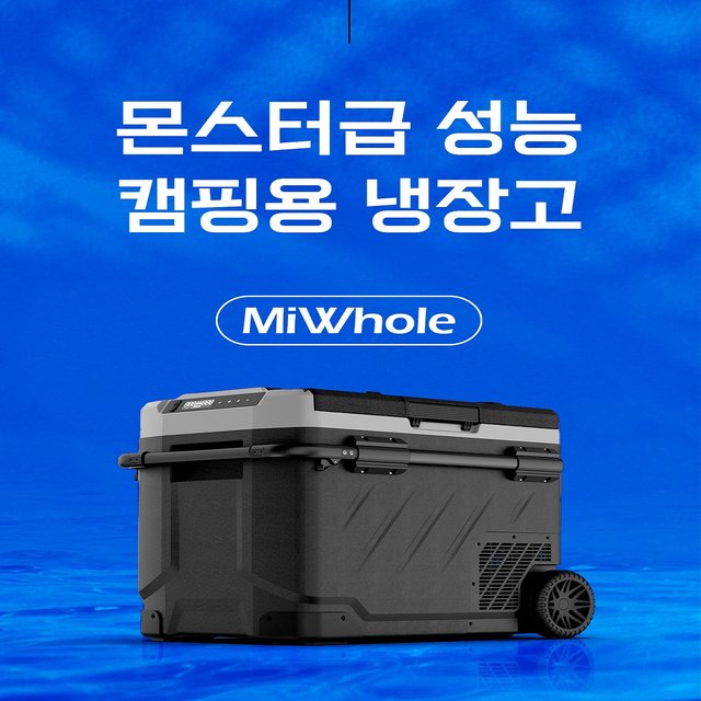 미홀 캠핑 냉장고 차박 캠핑 필수템 가을캠핑 피크_60ㅣ
